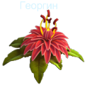 Костей