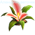 На удачу