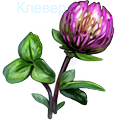 Викинга